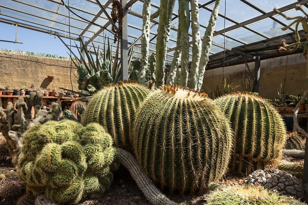 Oasi Delle Succulente Apartment Marsala Italy