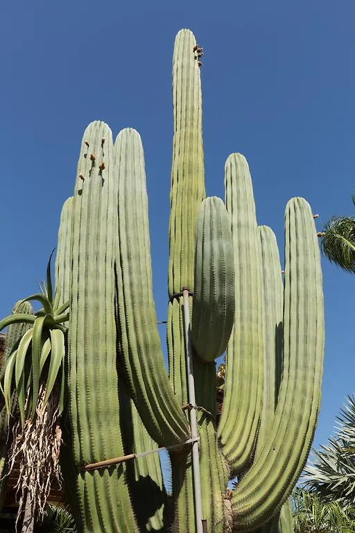 Oasi Delle Succulente Apartment Marsala